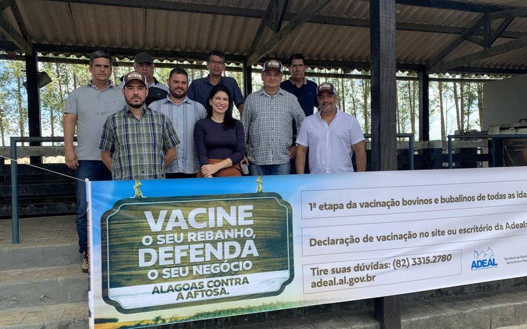 Alagoas inicia vacinação do rebanho contra a aftosa
