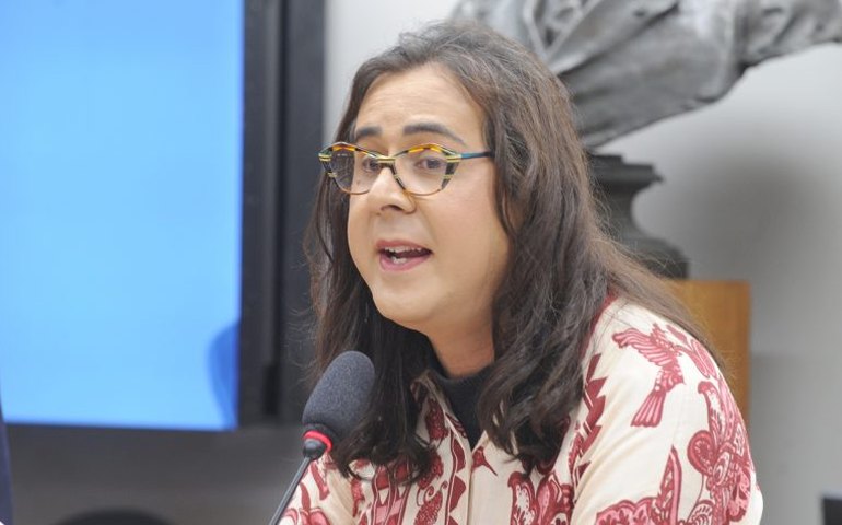 Comissão de Meio Ambiente debate participação indígena nas decisões da COP30