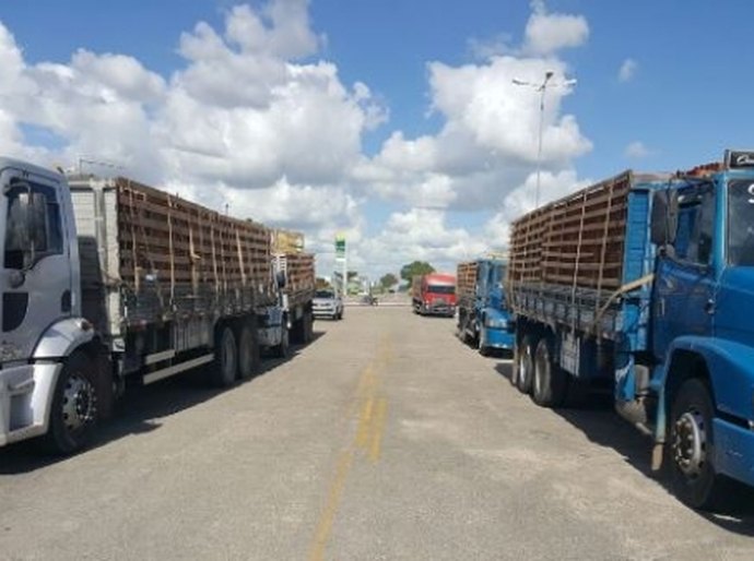 Sefaz autua carregamentos com 60 mil tijolos sem documento fiscal