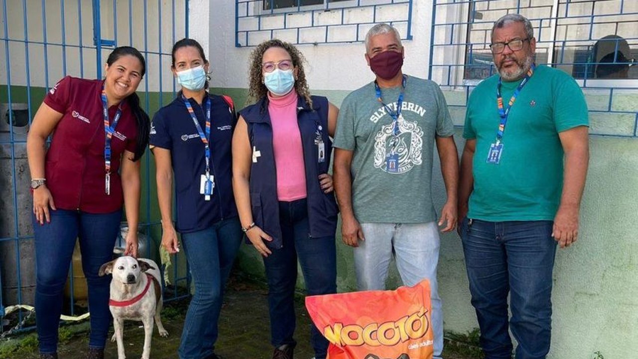 Prefeitura segue com prestação de assistência aos pets da população desabrigada pelas chuvas