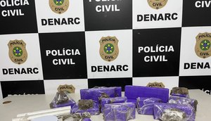 Denarc / Foto: Foto: SSP/ Divulgação