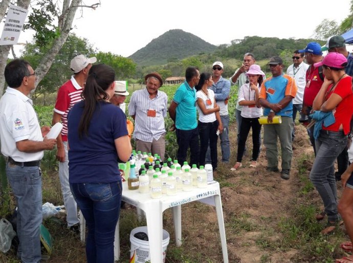 Pequenos produtores aprendem técnicas sobre adubação nitrogenada