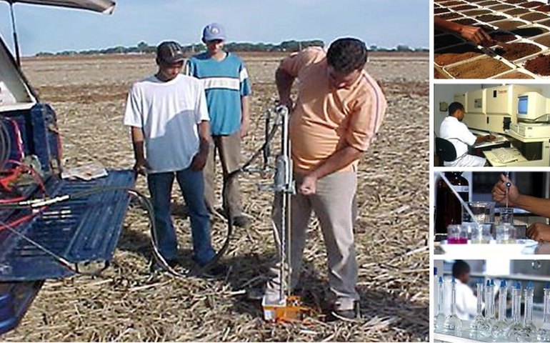 Solo bem nutrido gera mais lucro ao produtor