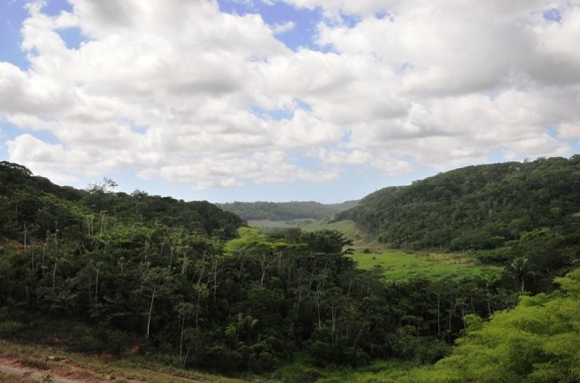 Selo nacional Empresa Amiga da Mata Atlântica será lançado em Alagoas