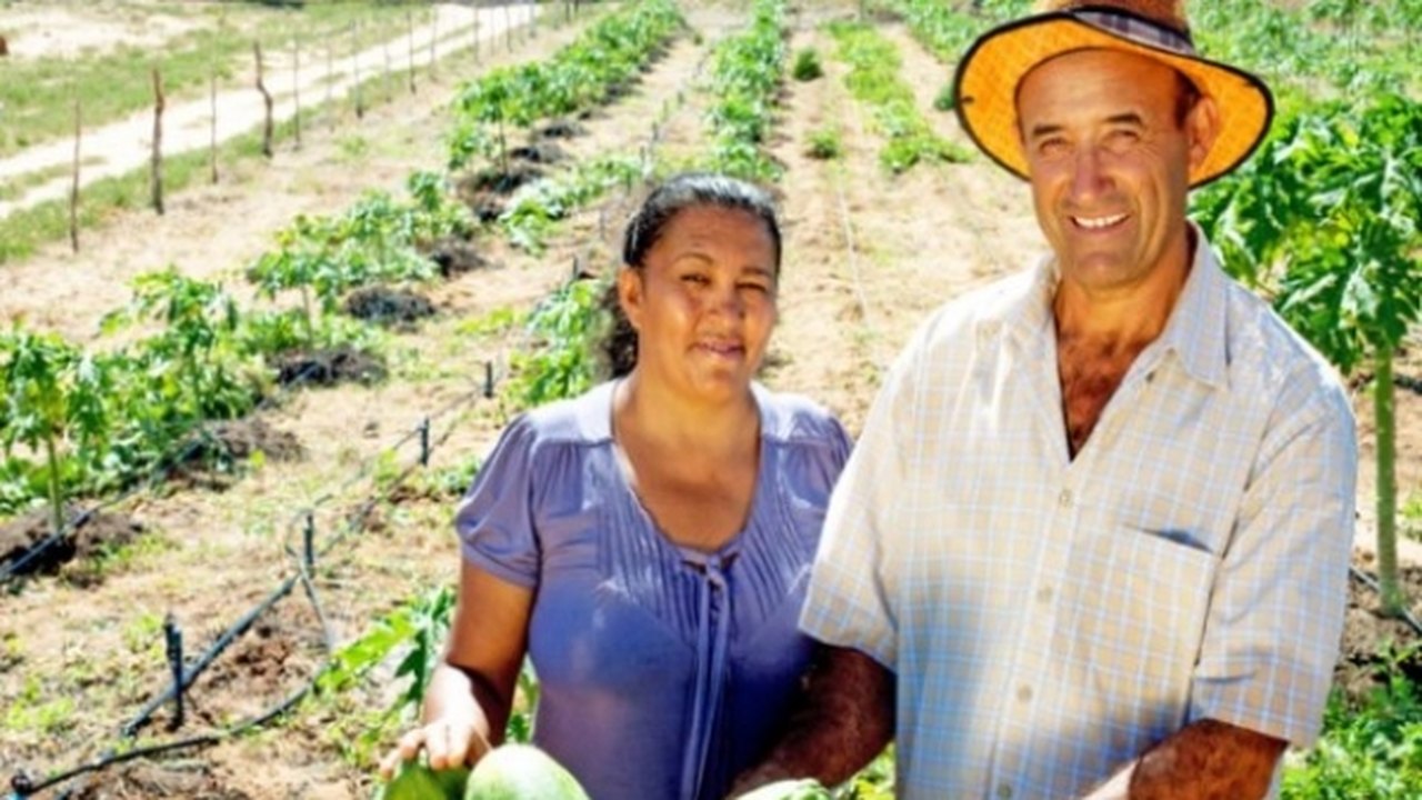 IICA: curso para agricultor vai discutir pandemia e oportunidades de superação