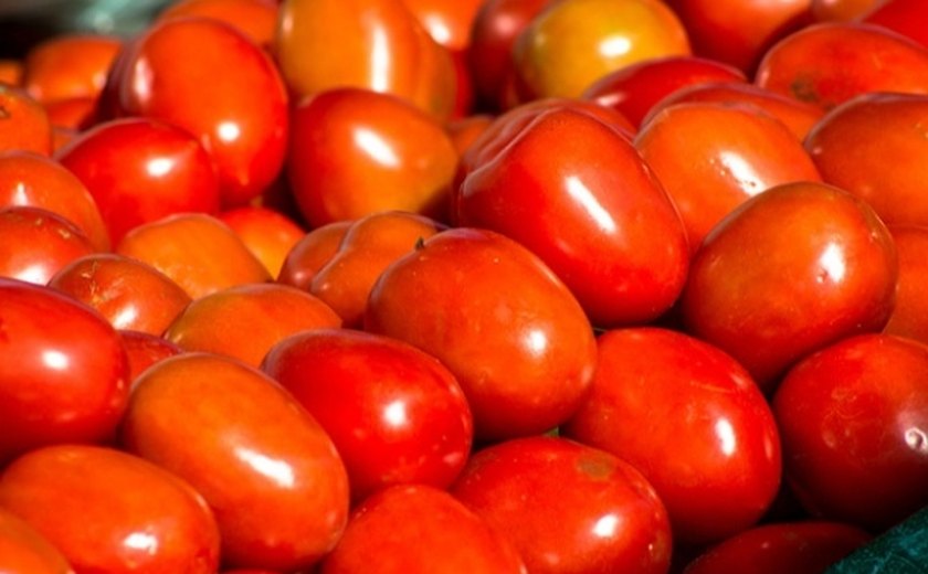 Conab: preços do tomate e da cenoura são destaques de alta em setembro no atacado