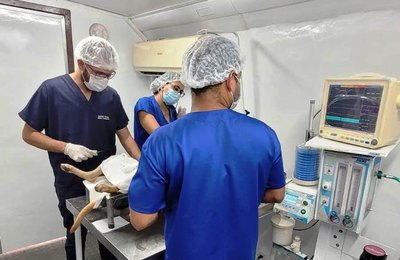 Secretaria de Saúde de Penedo realiza nova Campanha Castra Pet