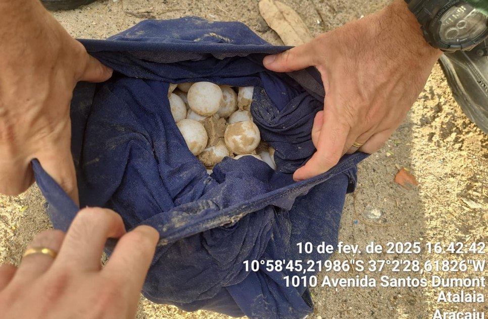 OPERAÇÃO OVOS ATALAIA (1)