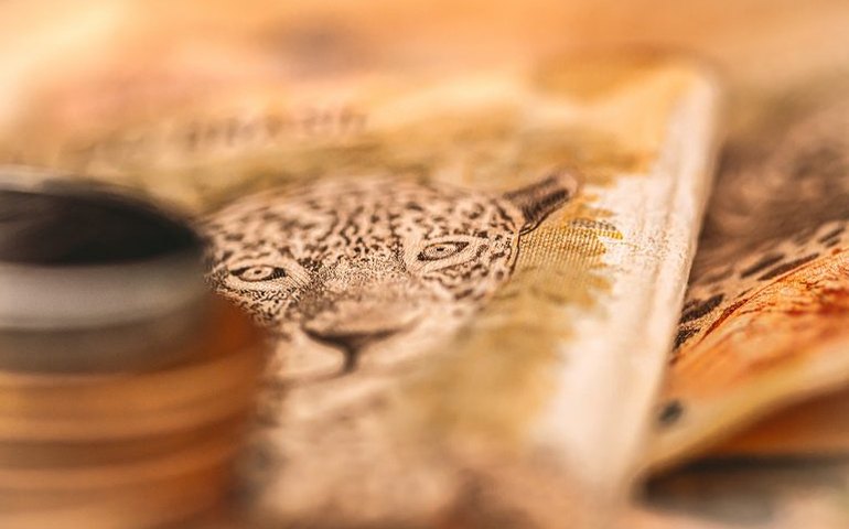 Previsão do Focus de alta do IPCA 2023 segue em 4,63%; 2024 sobe de 3,90% para 3,91%