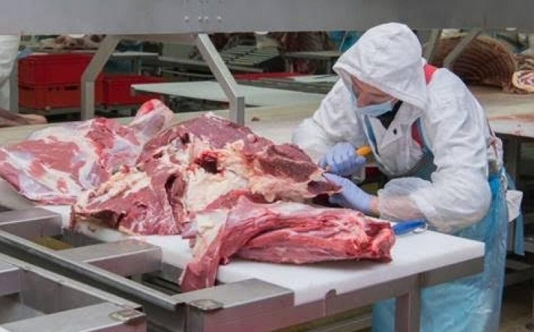 Adiamento de tarifa deve permitir que cargas de carne bovina cheguem aos EUA, afirma Abiec