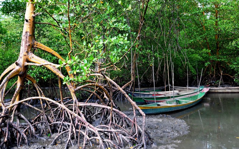 Alagoas alcança a marca histórica de 100 Unidades de Conservação