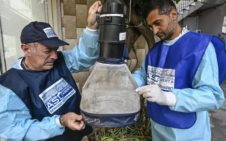Itália confirma 7ª morte por febre do Nilo Ocidental em 2025