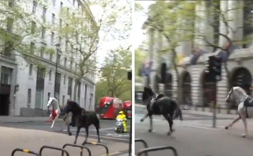 Cavalos em fuga: animais assustados correm descontroladamente pelas ruas de Londres cobertos de sangue; vídeos