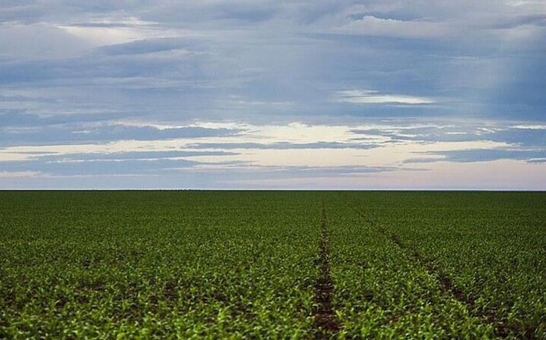 Agro brasileiro bate recorde histórico e movimenta US$ 52,7 bilhões nos 4 primeiros meses de 2025
