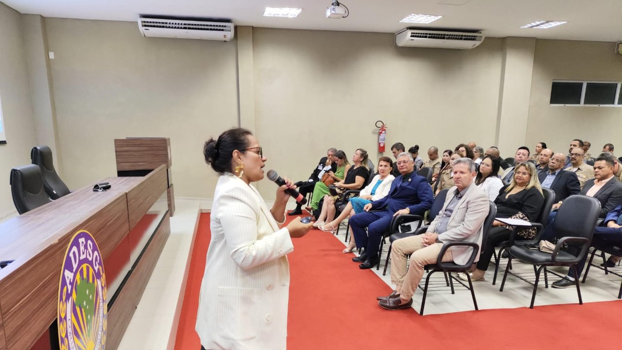 Secretária da Fazenda debate sobre sistema de arrecadação estadual e execução fiscal