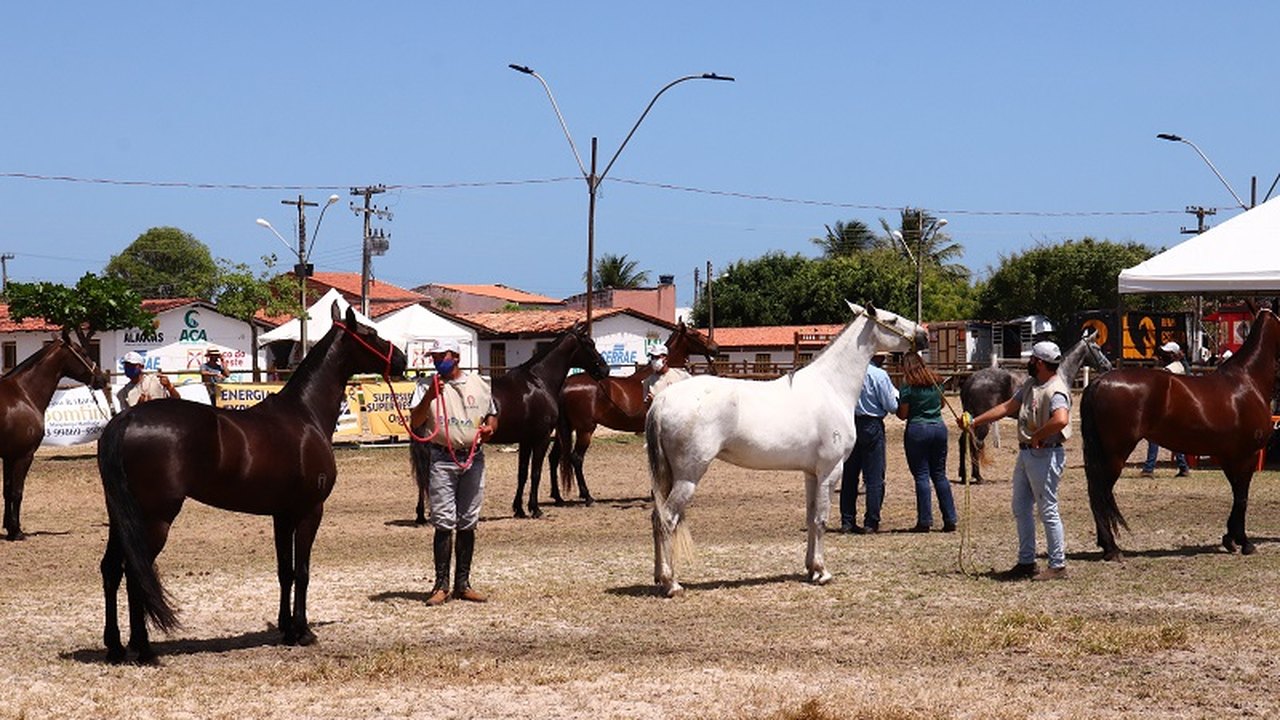 ACA firma compromisso sanitário para a realização da 71ª Expoagro/AL