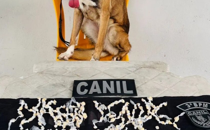 Mulher é presa com crack e cocaína em Arapiraca