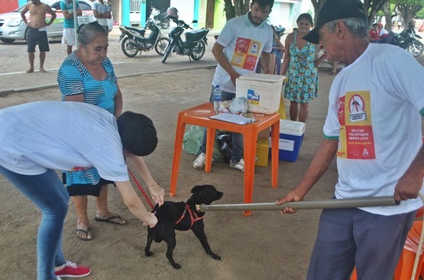 Prefeitura de Arapiraca mantém vacinação antirrábica