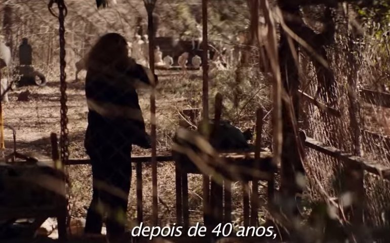 Clássicos do terror icônicos para ver no Halloween