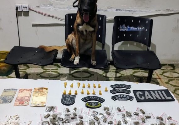 Cadela farejadora ajuda PM a encontrar drogas escondidas após prisão de suspeito em AL