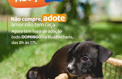 Vigilância em Zoonoses leva Feira de Adoção domingo (10) à Rua Fechada