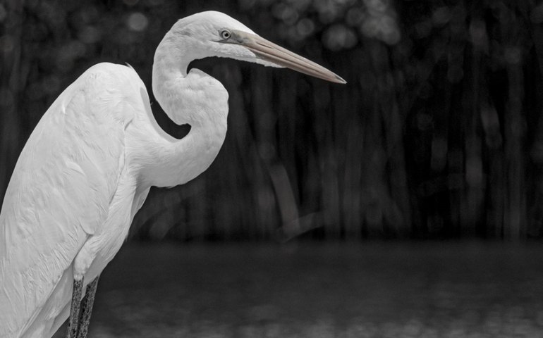 Em Marechal Deodoro (AL), mostra fotográfica apresenta diversidade socioambiental brasileira 
