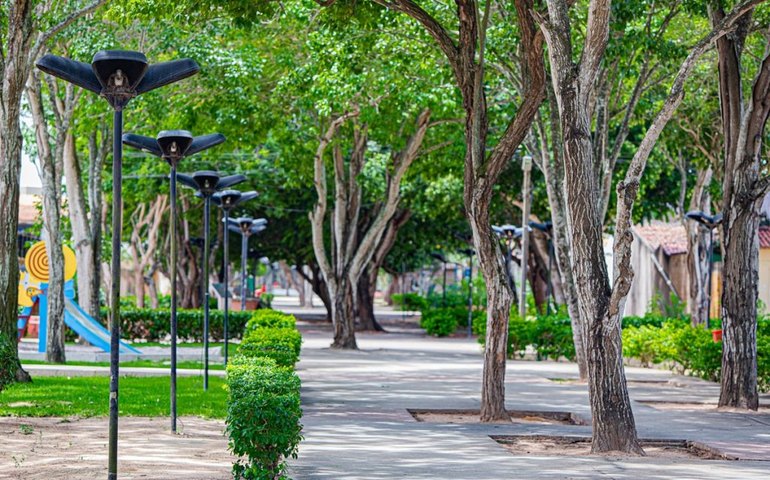 Inscrições abertas: Arapiraca sedia o XI Encontro Nordestino de Arborização Urbana em julho