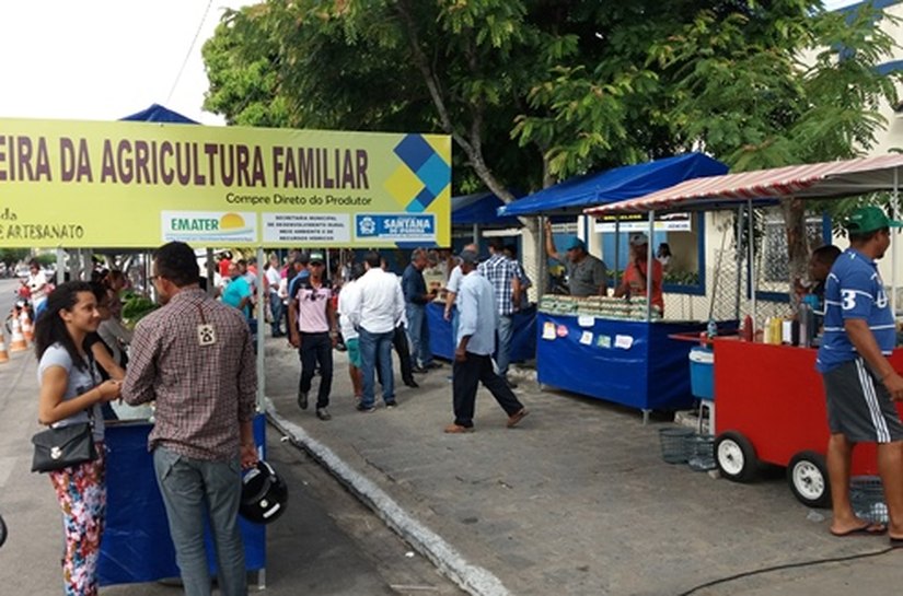 Alevinos distribuídos pelo Governo geram renda para agricultores sertanejos