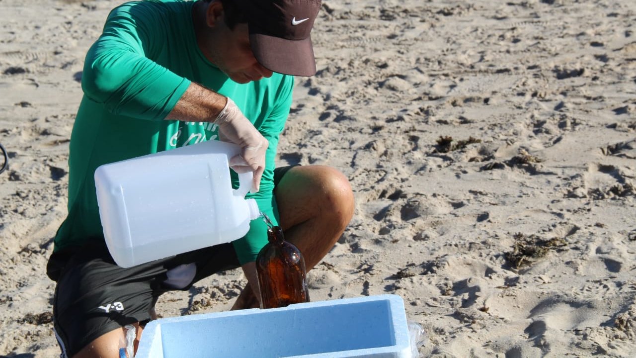 Amostras de diferentes trechos de praias indicam águas livres de contaminação