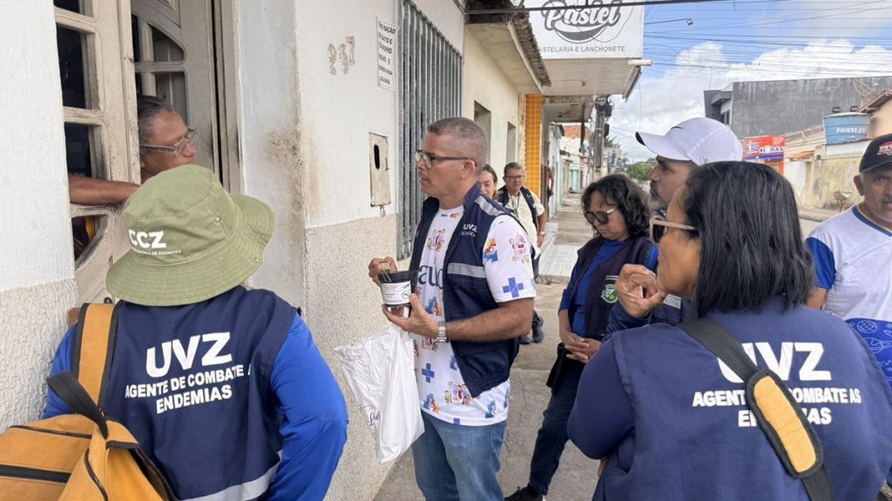 Arapiraca inicia implantação de nova estratégia para monitorar mosquito da dengue