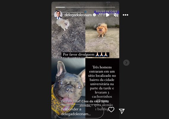 Cães de raças valiosas são roubados por criminosos armados em Maceió
