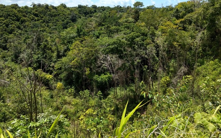 CNI/Ibope: aprovação do governo na área ambiental varia de 37% para 36%