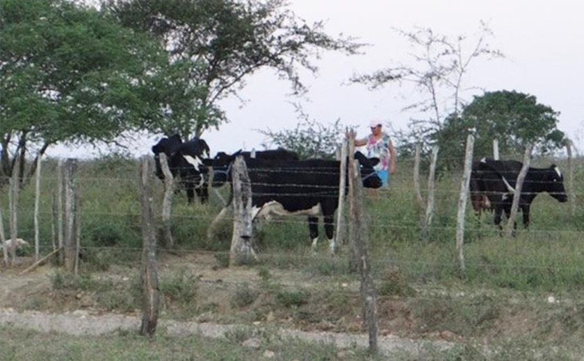 Desenvolve libera recurso que fortalece agricultura familiar em Estrela de Alagoas