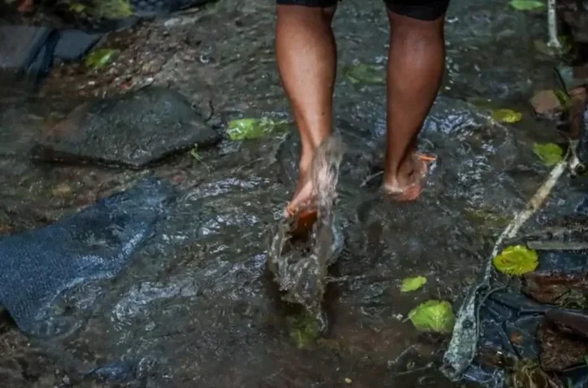 Saúde orienta população de Maceió sobre leptospirose no período chuvoso