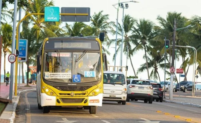 Alagoas reduziu número do crime em 13,8% em relação a 2023