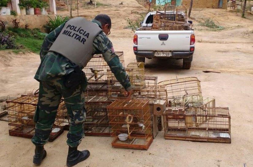 Fiscais realizam soltura de aves e caranguejos na APA Costa dos Corais