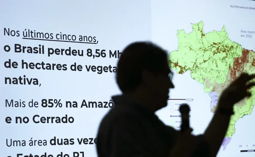 Brasil já perdeu 33% das áreas naturais de seu território