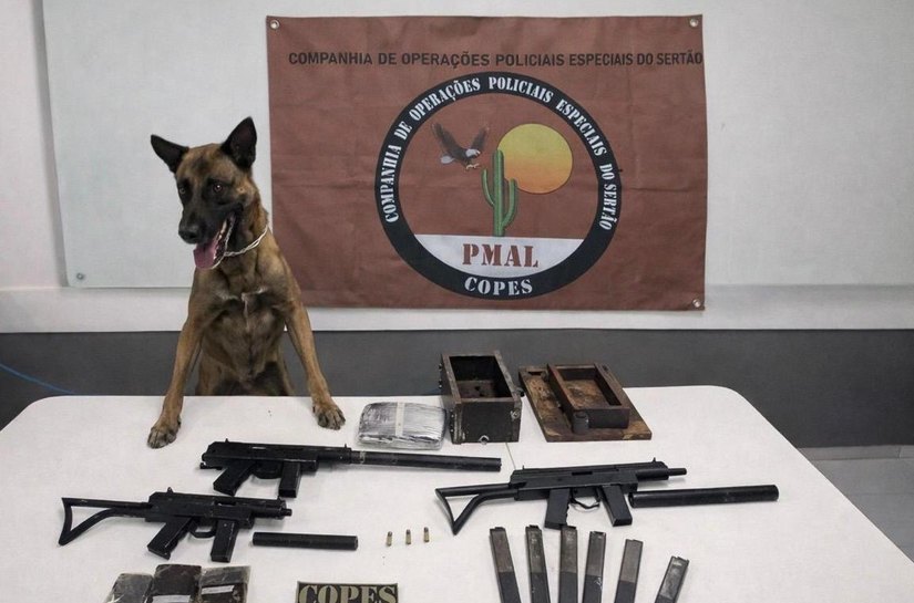 Polícia Militar apreende metralhadoras e drogas em ônibus interestadual