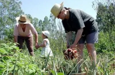 Lei amplia percentual para aquisição de alimentos da agricultura familiar pelo Pnae
