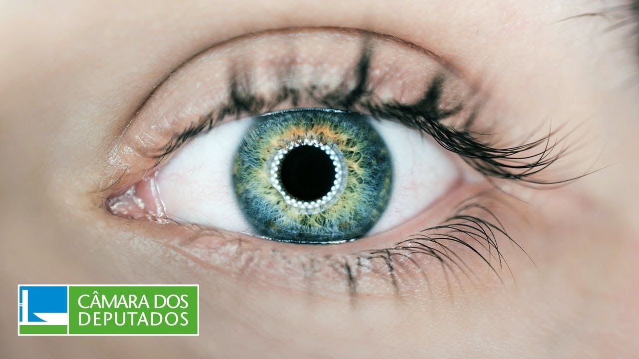 Especialistas reforçaram a importância do acesso ao SUS para tratamento do glaucoma