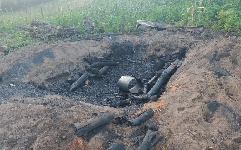 Operação Protetor dos Biomas intensifica combate a crimes ambientais em Alagoas