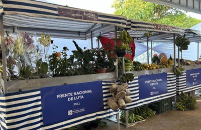 Sedics consolida avanços e fortalece o desenvolvimento econômico de Alagoas em 2025