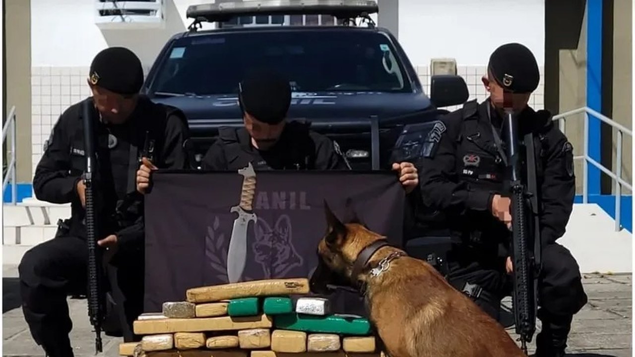 Polícia apreende mais de 200 kg de maconha em Rio Largo; ninguém foi preso