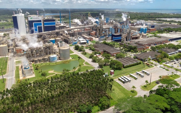 Suzano registra lucro de R$ 182 milhões no 2º trimestre