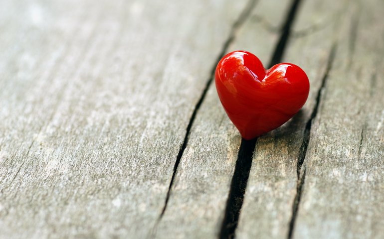 Amor que movimenta negócios: empreendedoras alagoanas se destacam no Dia dos Namorados