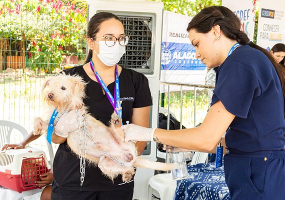 Semana de conscientização animal promove educação e cuidado responsável