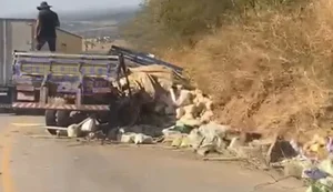 Caminhão perde os freios na Serra das Pias e motorista evita tragédia ao jogar veículo contra barreira