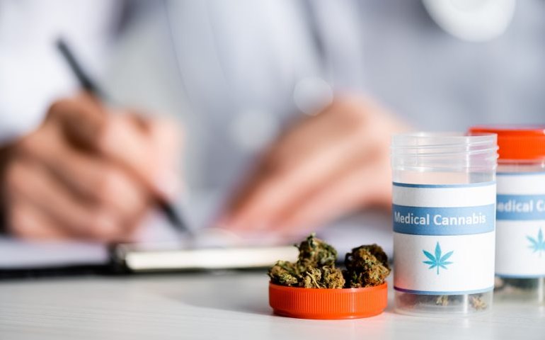 Cadeia produtiva da Cannabis para fins medicinais é tema de audiência na próxima terça