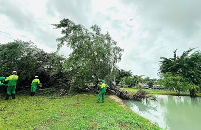 Prefeitura intensifica ações ambientais que minimizam riscos durante o período chuvoso