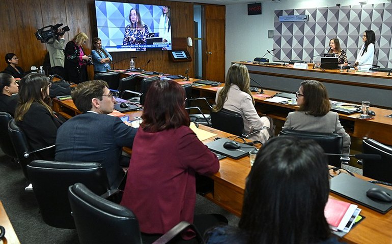 Subcomissão sobre violência doméstica no exterior aprova relatório